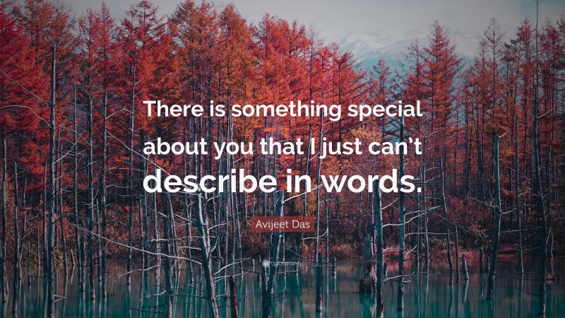 Avijeet Das Quote: “There is something special about you that I just can’t describe in words.”