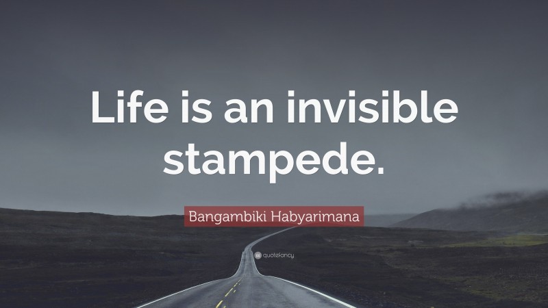 Bangambiki Habyarimana Quote: “Life is an invisible stampede.”