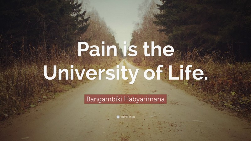 Bangambiki Habyarimana Quote: “Pain is the University of Life.”