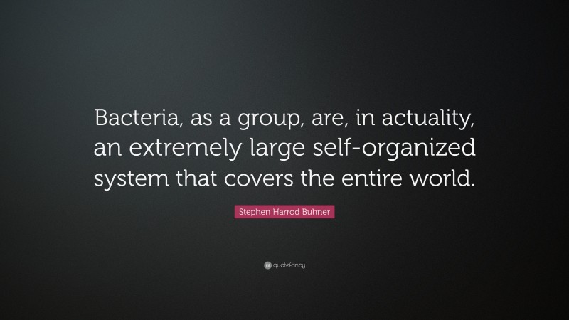 Stephen Harrod Buhner Quote: “Bacteria, as a group, are, in actuality, an extremely large self-organized system that covers the entire world.”