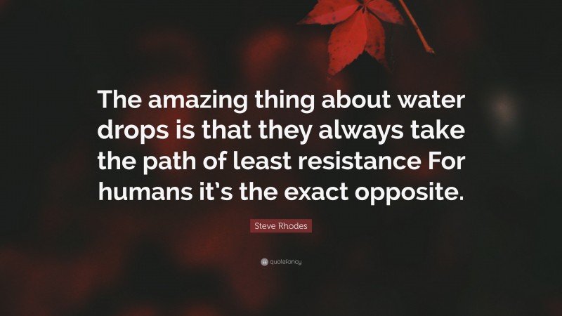 Steve Rhodes Quote: “The amazing thing about water drops is that they always take the path of least resistance For humans it’s the exact opposite.”