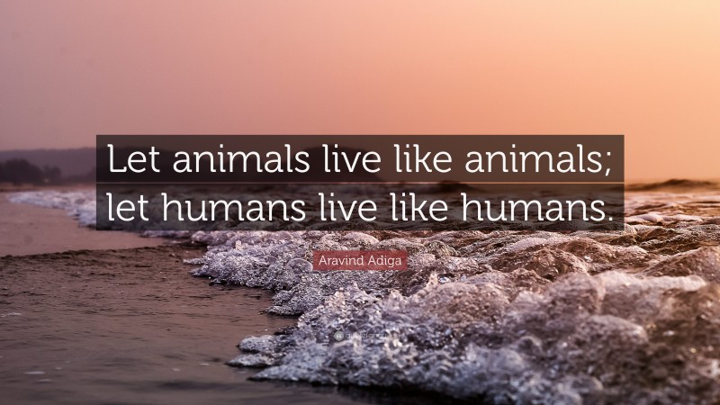 Aravind Adiga Quote: “Let animals live like animals; let humans live like humans.”