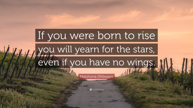 Matshona Dhliwayo Quote: “If you were born to rise you will yearn for the stars, even if you have no wings.”