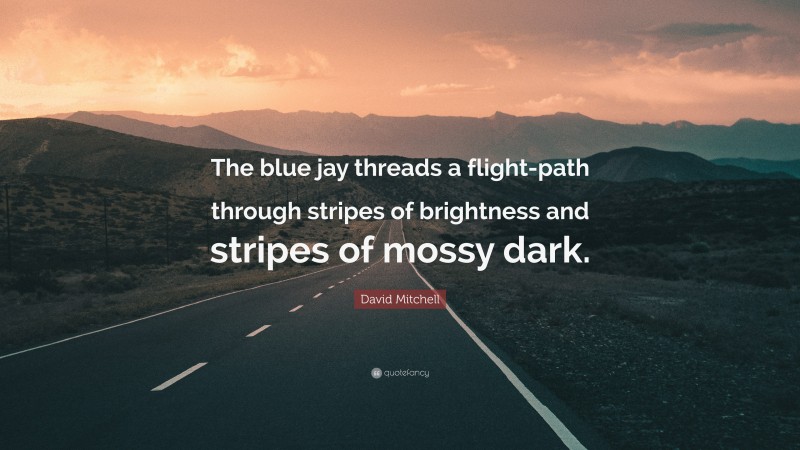 David Mitchell Quote: “The blue jay threads a flight-path through stripes of brightness and stripes of mossy dark.”