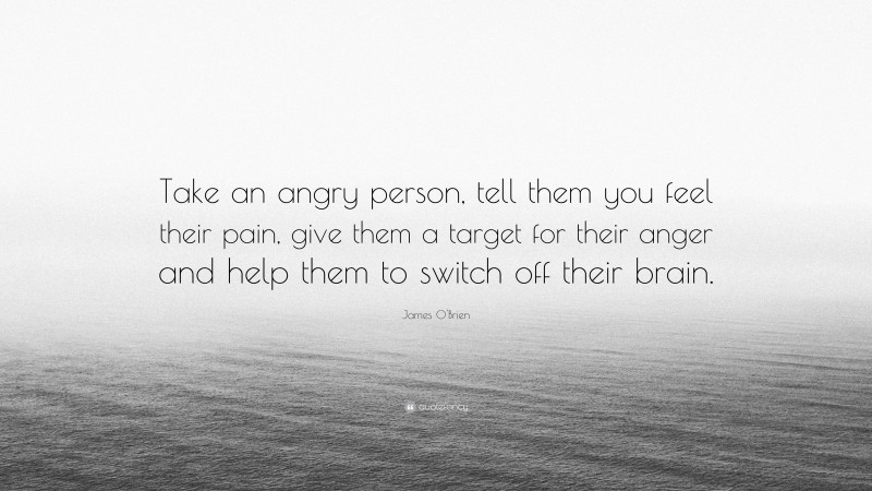 James O'Brien Quote: “Take an angry person, tell them you feel their pain, give them a target for their anger and help them to switch off their brain.”