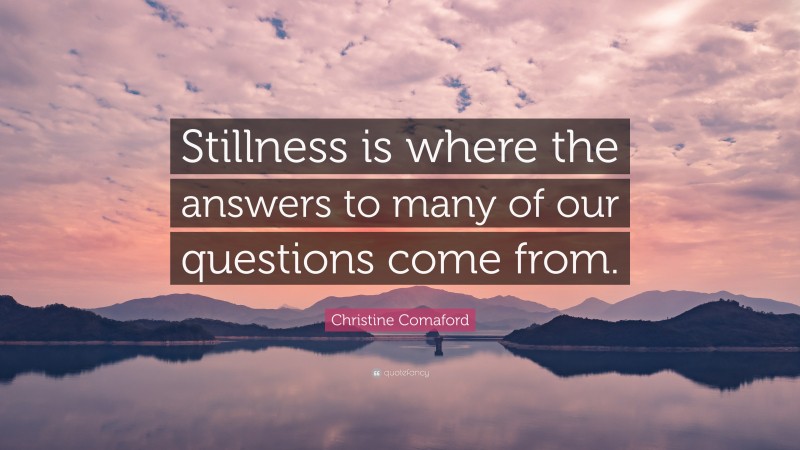 Christine Comaford Quote: “Stillness is where the answers to many of our questions come from.”