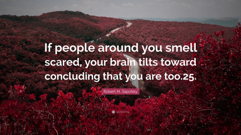 Robert M. Sapolsky Quote: “If people around you smell scared, your brain tilts toward concluding that you are too.25.”