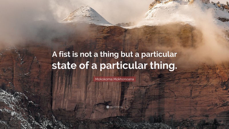Mokokoma Mokhonoana Quote: “A fist is not a thing but a particular state of a particular thing.”
