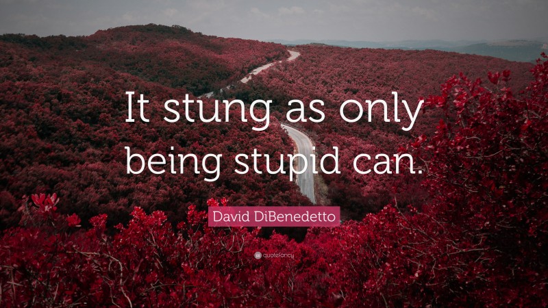 David DiBenedetto Quote: “It stung as only being stupid can.”