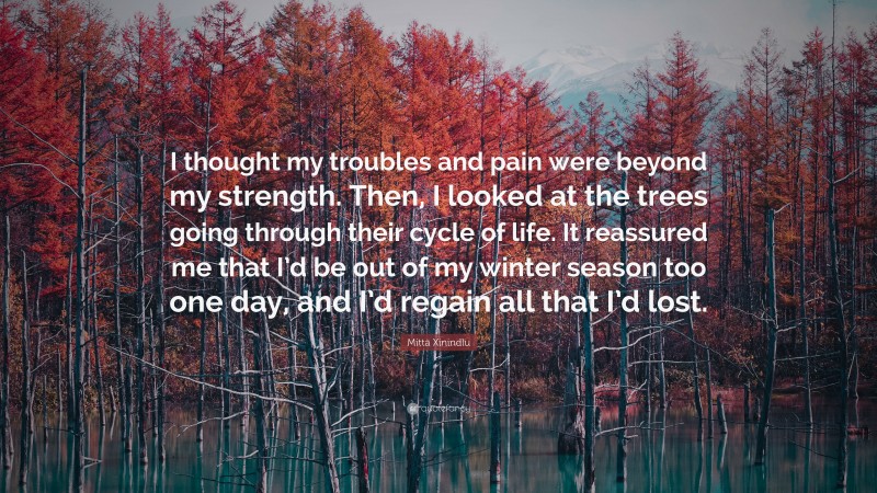 Mitta Xinindlu Quote: “I thought my troubles and pain were beyond my strength. Then, I looked at the trees going through their cycle of life. It reassured me that I’d be out of my winter season too one day, and I’d regain all that I’d lost.”