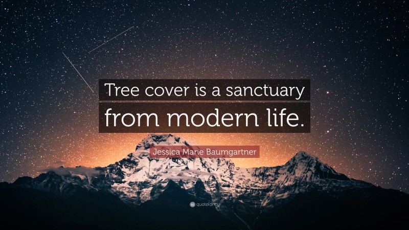 Jessica Marie Baumgartner Quote: “Tree cover is a sanctuary from modern life.”