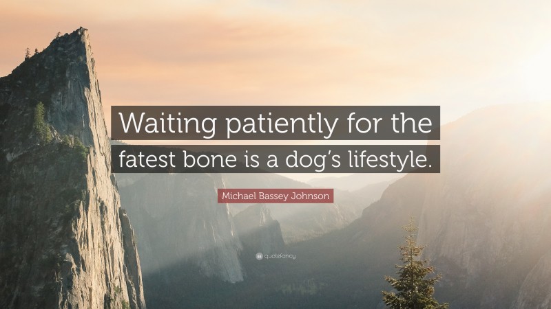 Michael Bassey Johnson Quote: “Waiting patiently for the fatest bone is a dog’s lifestyle.”