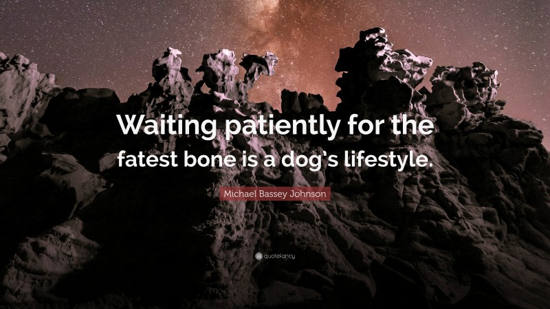 Michael Bassey Johnson Quote: “Waiting patiently for the fatest bone is a dog’s lifestyle.”