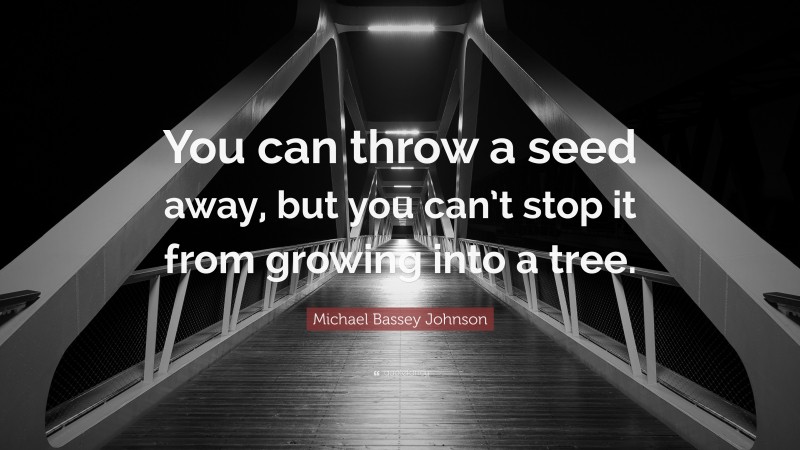 Michael Bassey Johnson Quote: “You can throw a seed away, but you can’t stop it from growing into a tree.”