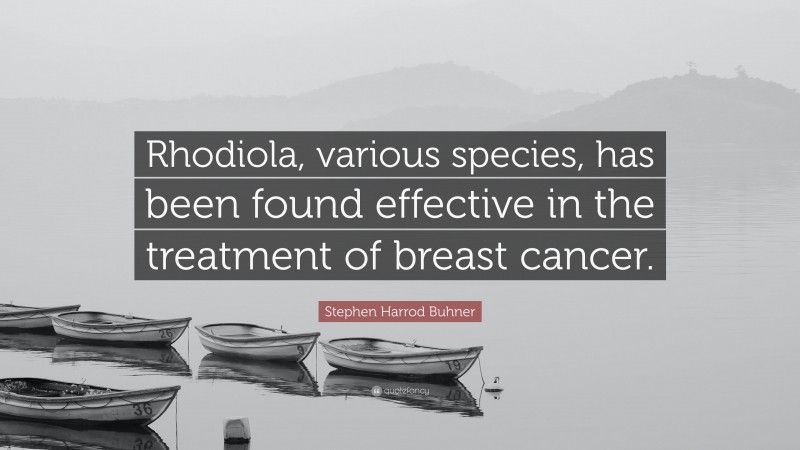 Stephen Harrod Buhner Quote: “Rhodiola, various species, has been found effective in the treatment of breast cancer.”