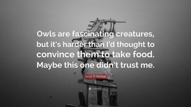 Amal El-Mohtar Quote: “Owls are fascinating creatures, but it’s harder than I’d thought to convince them to take food. Maybe this one didn’t trust me.”