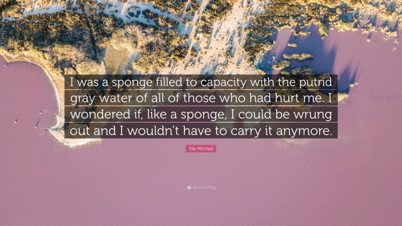 Elle Mitchell Quote: “I was a sponge filled to capacity with the putrid gray water of all of those who had hurt me. I wondered if, like a sponge, I could be wrung out and I wouldn’t have to carry it anymore.”