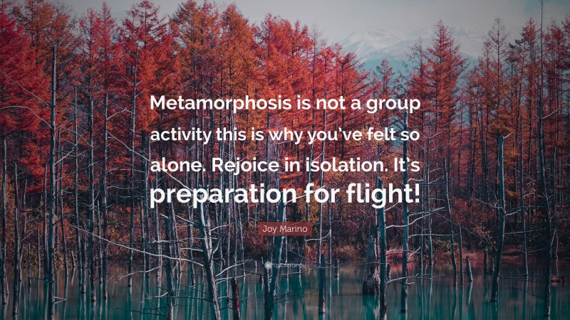 Joy Marino Quote: “Metamorphosis is not a group activity this is why you’ve felt so alone. Rejoice in isolation. It’s preparation for flight!”