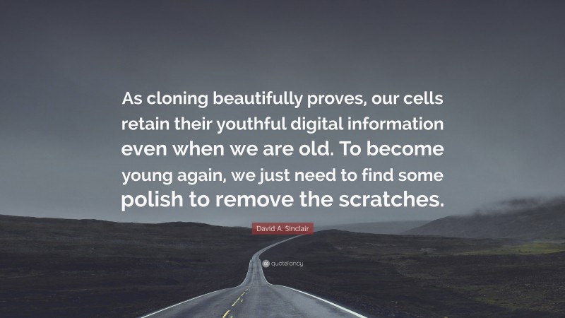 David A. Sinclair Quote: “As cloning beautifully proves, our cells retain their youthful digital information even when we are old. To become young again, we just need to find some polish to remove the scratches.”