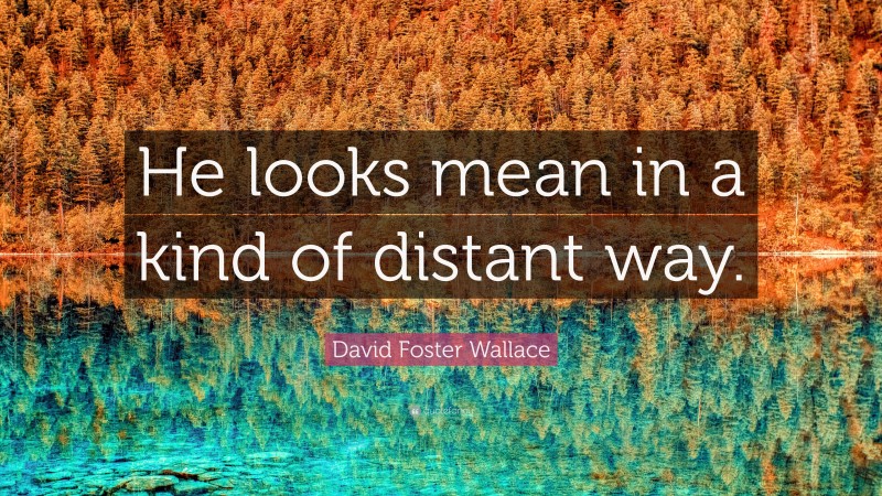 David Foster Wallace Quote: “He looks mean in a kind of distant way.”