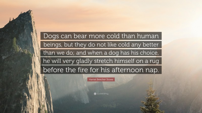 Harriet Beecher Stowe Quote: “Dogs can bear more cold than human beings, but they do not like cold any better than we do; and when a dog has his choice, he will very gladly stretch himself on a rug before the fire for his afternoon nap.”