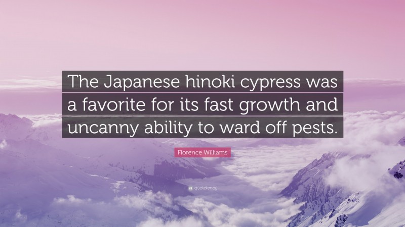 Florence Williams Quote: “The Japanese hinoki cypress was a favorite for its fast growth and uncanny ability to ward off pests.”