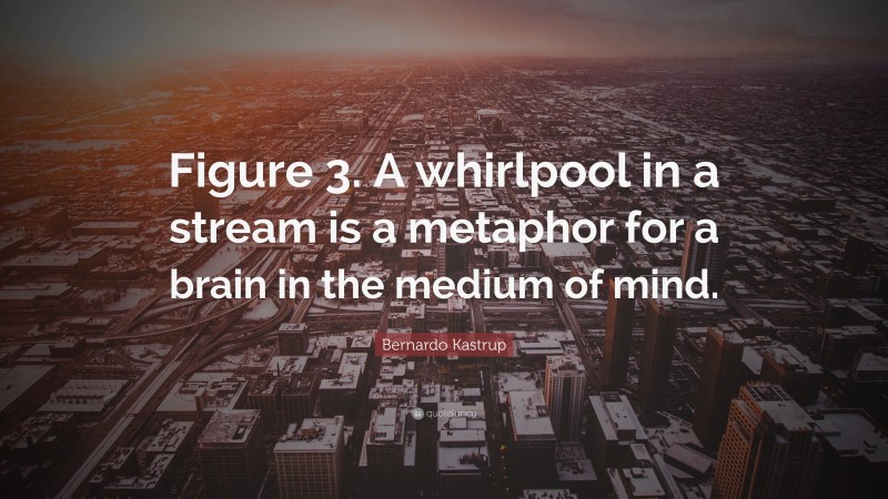 Bernardo Kastrup Quote: “Figure 3. A whirlpool in a stream is a metaphor for a brain in the medium of mind.”