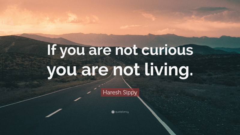 Haresh Sippy Quote: “If you are not curious you are not living.”