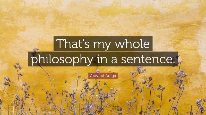 Aravind Adiga Quote: “That’s my whole philosophy in a sentence.”