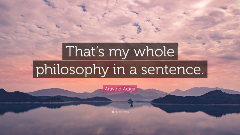 Aravind Adiga Quote: “That’s my whole philosophy in a sentence.”