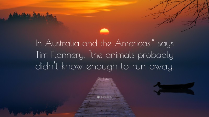 Bill Bryson Quote: “In Australia and the Americas,” says Tim Flannery, “the animals probably didn’t know enough to run away.”