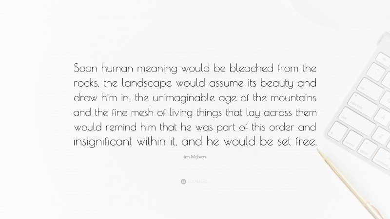 Ian McEwan Quote: “Soon human meaning would be bleached from the rocks, the landscape would assume its beauty and draw him in; the unimaginable age of the mountains and the fine mesh of living things that lay across them would remind him that he was part of this order and insignificant within it, and he would be set free.”