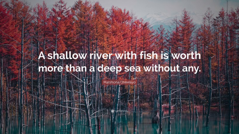 Matshona Dhliwayo Quote: “A shallow river with fish is worth more than a deep sea without any.”