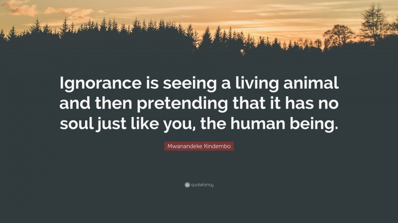 Mwanandeke Kindembo Quote: “Ignorance is seeing a living animal and then pretending that it has no soul just like you, the human being.”