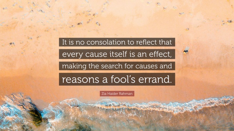 Zia Haider Rahman Quote: “It is no consolation to reflect that every cause itself is an effect, making the search for causes and reasons a fool’s errand.”