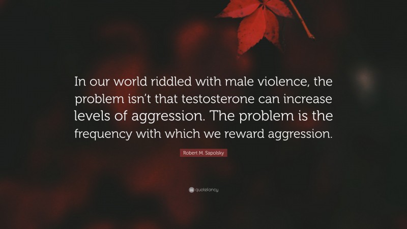 Robert M. Sapolsky Quote: “In our world riddled with male violence, the problem isn’t that testosterone can increase levels of aggression. The problem is the frequency with which we reward aggression.”