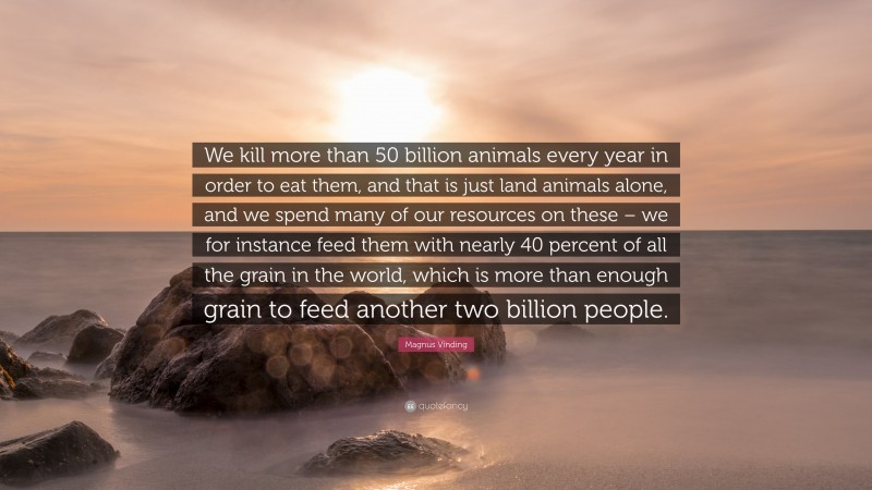 Magnus Vinding Quote: “We kill more than 50 billion animals every year in order to eat them, and that is just land animals alone, and we spend many of our resources on these – we for instance feed them with nearly 40 percent of all the grain in the world, which is more than enough grain to feed another two billion people.”