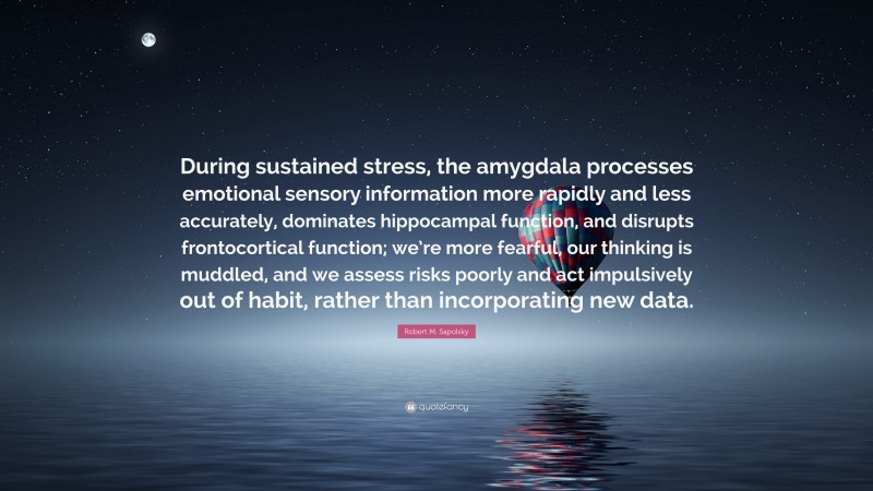 Robert M. Sapolsky Quote: “During sustained stress, the amygdala processes emotional sensory information more rapidly and less accurately, dominates hippocampal function, and disrupts frontocortical function; we’re more fearful, our thinking is muddled, and we assess risks poorly and act impulsively out of habit, rather than incorporating new data.”