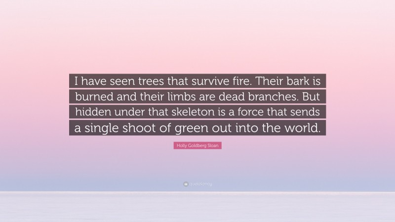 Holly Goldberg Sloan Quote: “I have seen trees that survive fire. Their bark is burned and their limbs are dead branches. But hidden under that skeleton is a force that sends a single shoot of green out into the world.”
