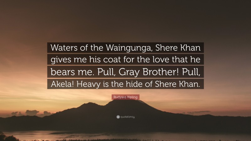 Rudyard Kipling Quote: “Waters of the Waingunga, Shere Khan gives me his coat for the love that he bears me. Pull, Gray Brother! Pull, Akela! Heavy is the hide of Shere Khan.”