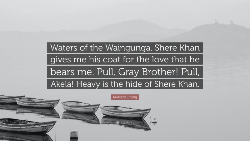 Rudyard Kipling Quote: “Waters of the Waingunga, Shere Khan gives me his coat for the love that he bears me. Pull, Gray Brother! Pull, Akela! Heavy is the hide of Shere Khan.”