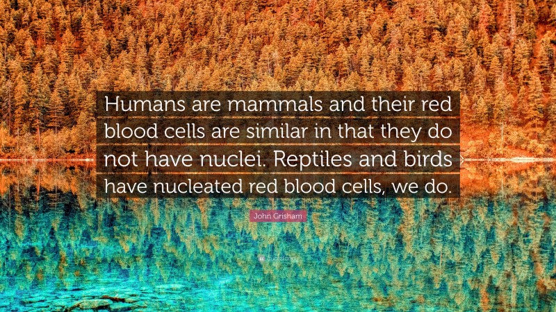 John Grisham Quote: “Humans are mammals and their red blood cells are similar in that they do not have nuclei. Reptiles and birds have nucleated red blood cells, we do.”