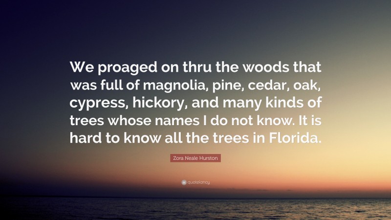 Zora Neale Hurston Quote: “We proaged on thru the woods that was full of magnolia, pine, cedar, oak, cypress, hickory, and many kinds of trees whose names I do not know. It is hard to know all the trees in Florida.”