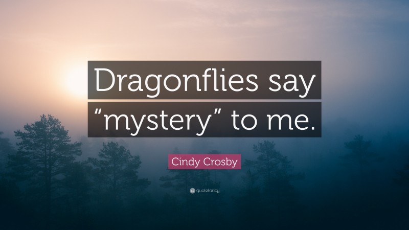 Cindy Crosby Quote: “Dragonflies say “mystery” to me.”