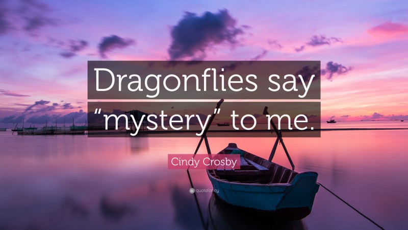 Cindy Crosby Quote: “Dragonflies say “mystery” to me.”