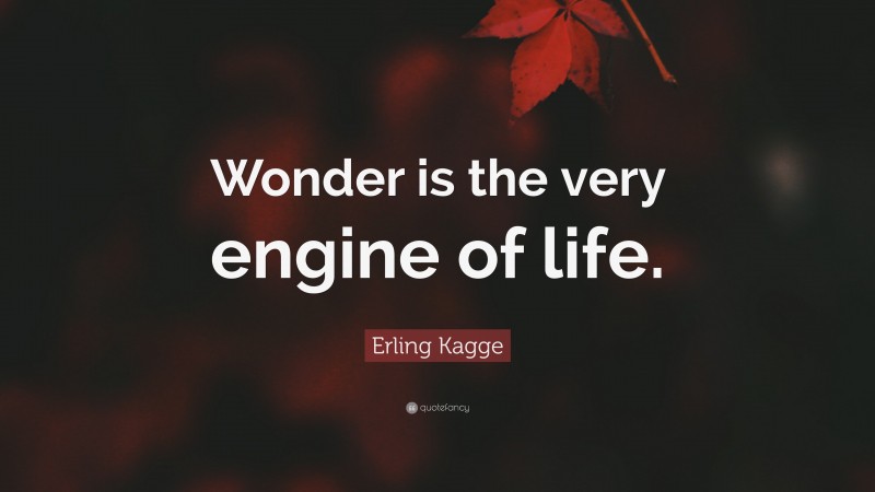 Erling Kagge Quote: “Wonder is the very engine of life.”