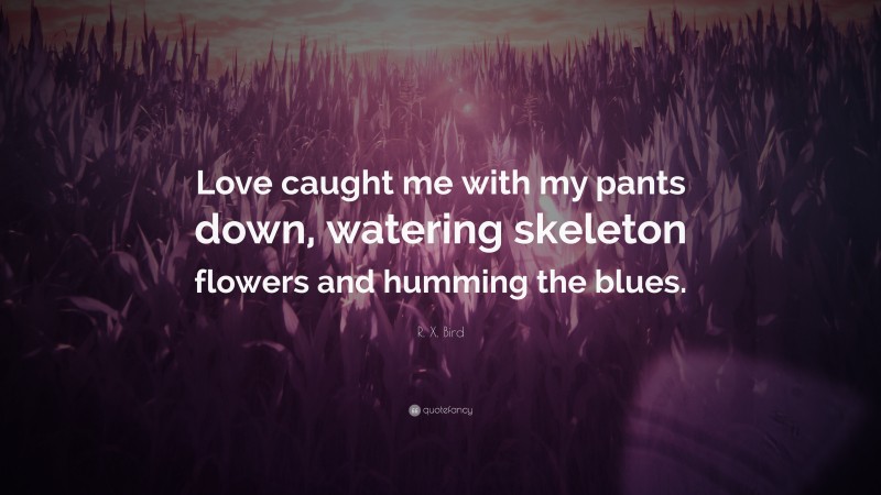 R. X. Bird Quote: “Love caught me with my pants down, watering skeleton flowers and humming the blues.”