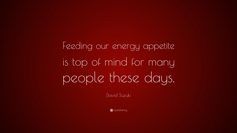 David Suzuki Quote: “Feeding our energy appetite is top of mind for many people these days.”