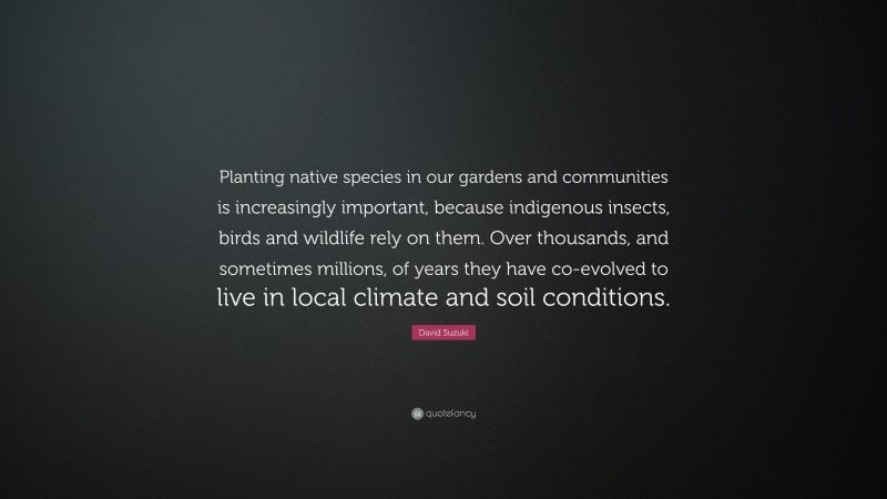 David Suzuki Quote: “Planting native species in our gardens and communities is increasingly important, because indigenous insects, birds and wildlife rely on them. Over thousands, and sometimes millions, of years they have co-evolved to live in local climate and soil conditions.”