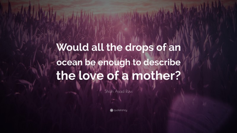 Shah Asad Rizvi Quote: “Would all the drops of an ocean be enough to describe the love of a mother?”